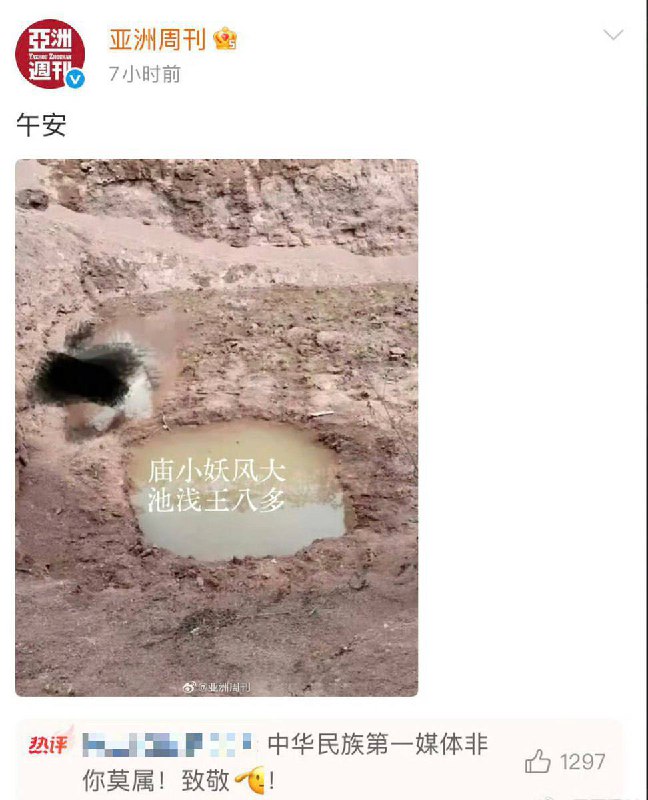 12月29日，《亚洲周刊》微博在删除完“南博”相关帖子后，还发布了一张图片，上面写着“庙小妖风大，池浅王八多”