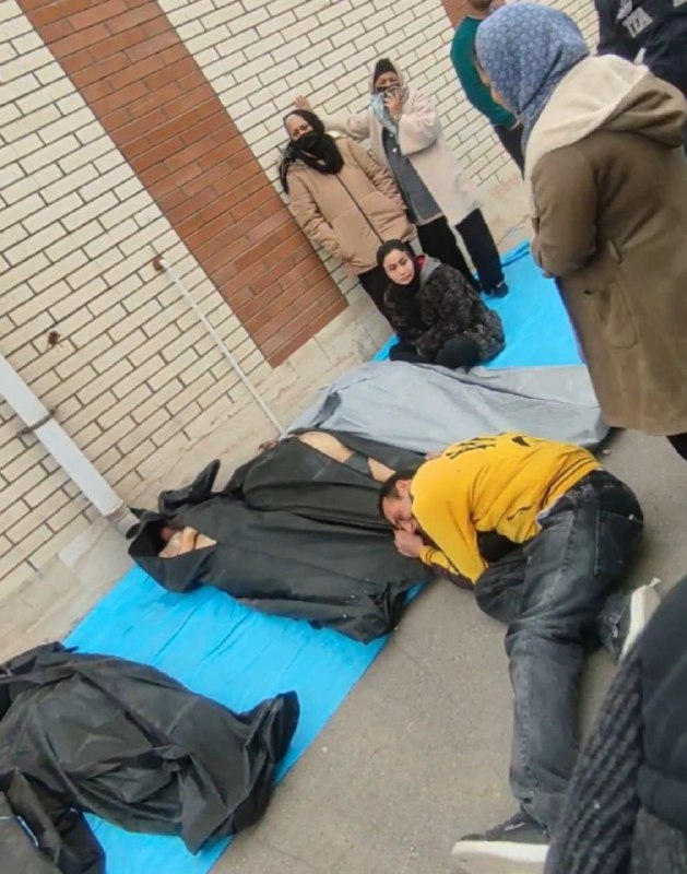 🇮🇷伊朗反政府抗议活动已造成至少12000人死亡据伊朗国际新闻台编辑委员会报道，截至目前，伊朗持续进行的反政府抗议活动已导致至少12000人被安全部队杀害