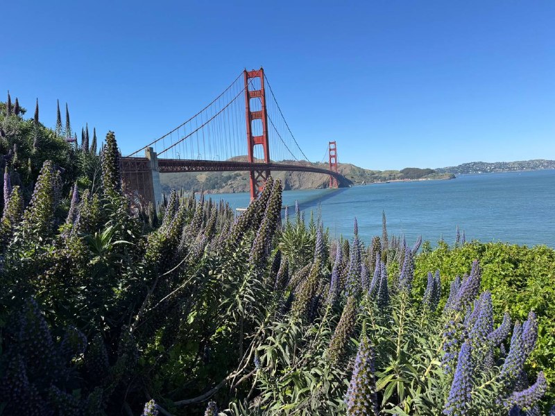 首次看到费资2.17亿美元、费时7年建成的旧金山金门大桥防自杀网