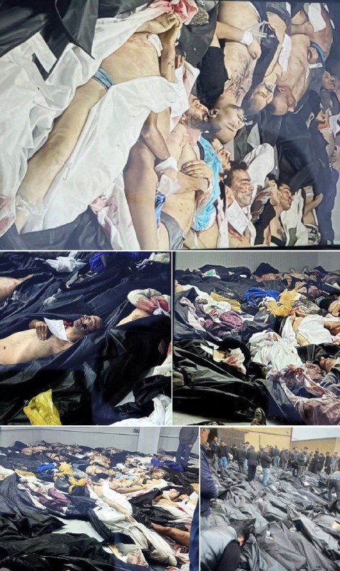 🇮🇷伊朗反政府抗议活动已造成至少12000人死亡据伊朗国际新闻台编辑委员会报道，截至目前，伊朗持续进行的反政府抗议活动已导致至少12000人被安全部队杀害