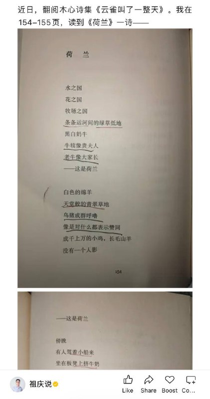 1.木心《荷兰》一诗剽窃自万世荣翻译的捷克卡雷尔•恰佩克《牧场之国》一文，只是将散文做了断行和摘录