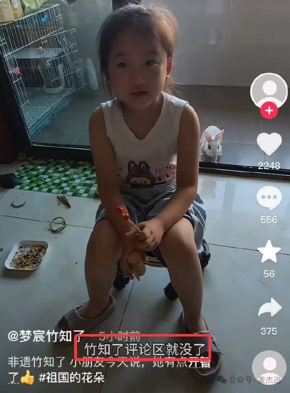 1.华为的「竹知了」梗，在中国各大视频平台上蔓延