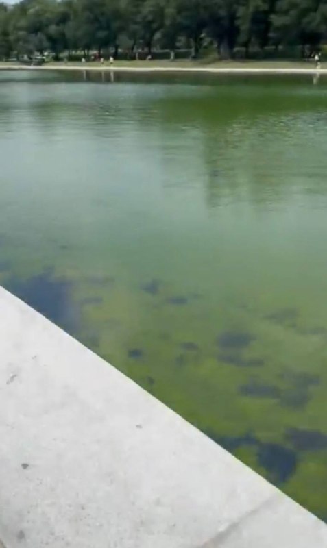 白宫账号到现在还在炫耀川普将林肯纪念堂倒影池改造成了蓝色游泳池，既然有AI可以随意PS，还花1400万美元改造费干啥，就为了捞钱吗？白宫账号到现在还在炫耀川普将林肯纪念堂倒影池改造成了蓝色游泳池，既然有AI可以随意PS，还花1400万美元改造费干啥，就为了捞钱吗？