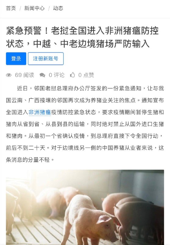 老挝非洲猪瘟爆发，有可能运往中国老挝非洲猪瘟爆发，有可能运往中国
