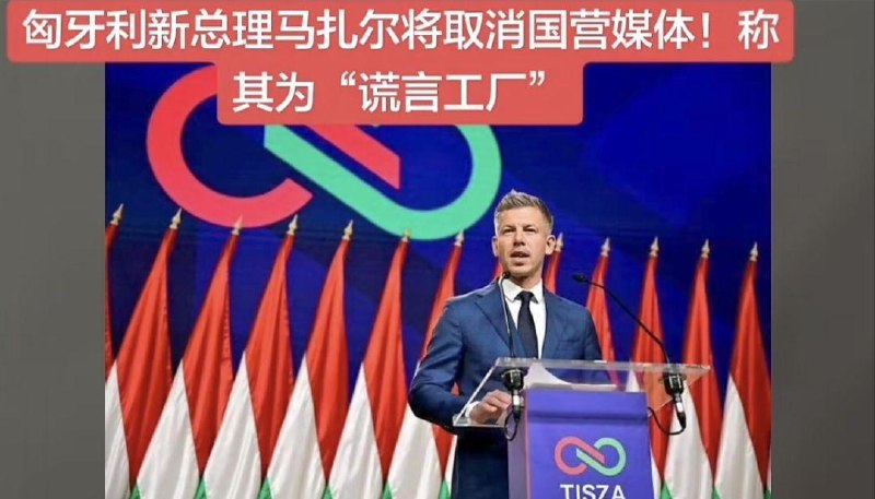 新闻焦点追踪（主编