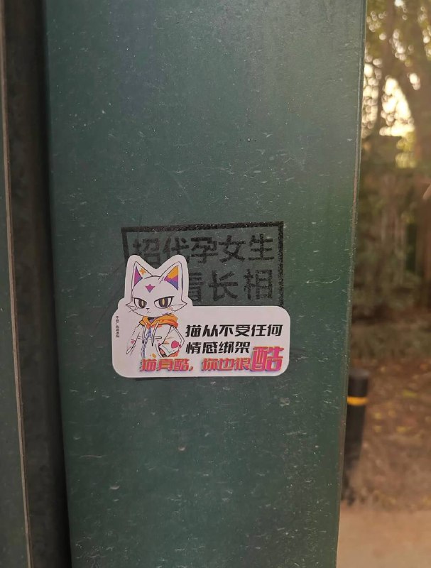 李老师不是你老师
