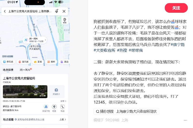 9月1日，上海一名网友发帖称，自己养了8年的家犬在台风期间意外走失，随后被送往收容机构