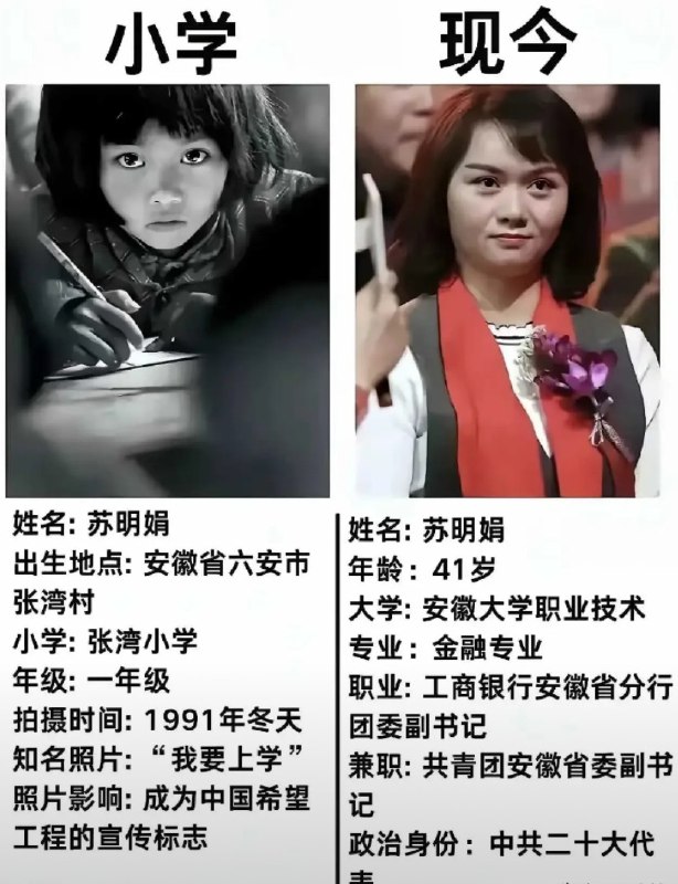 新闻焦点追踪（主编