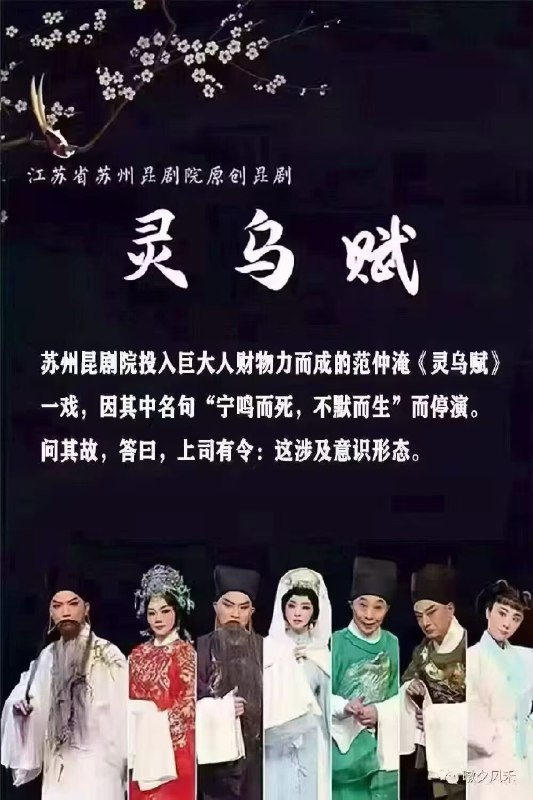 新闻焦点追踪（主编