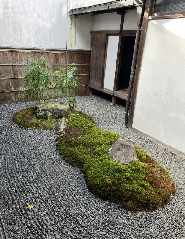 作家崔成浩