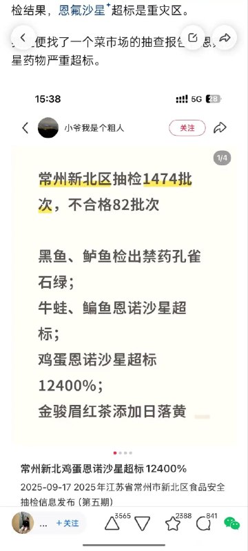 老倪