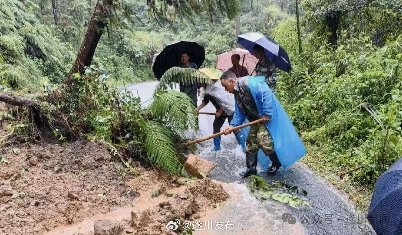 王局拍案
