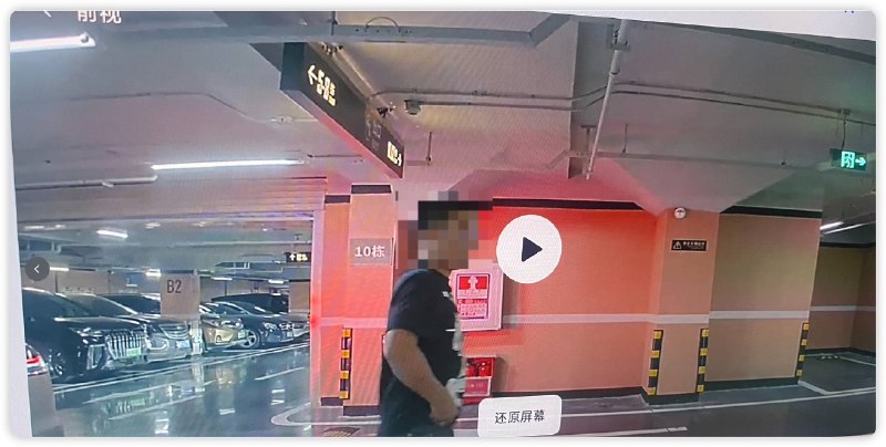 1.尊界车主在停车场尿尿，下面都被边上车的哨兵模式拍下来了，看的清清楚楚1.尊界车主在停车场尿尿，下面都被边上车的哨兵模式拍下来了，看的清清楚楚