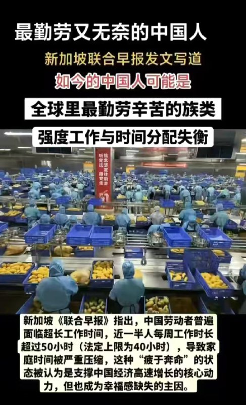 新闻焦点追踪（主编
