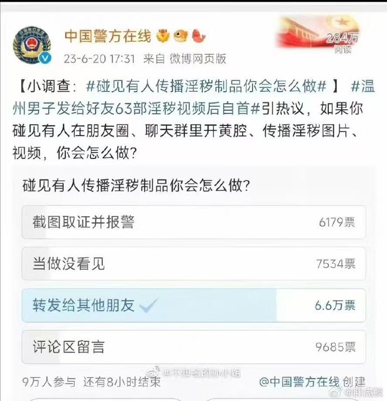 小径残雪 (Twitter)老投票重温