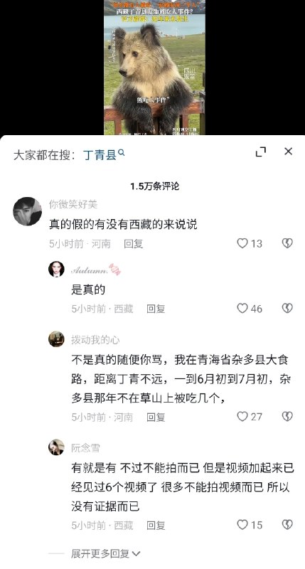 夸克说