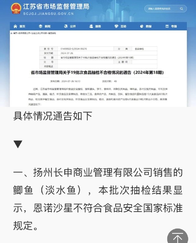 老倪