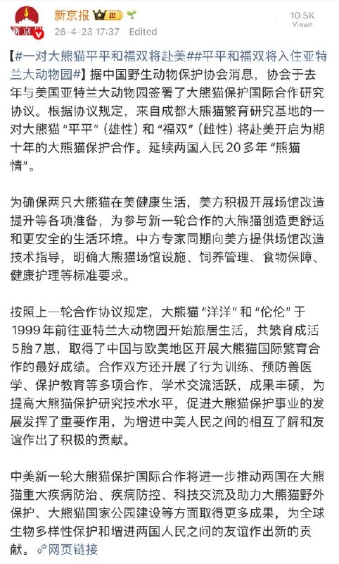 小径残雪 (Twitter/X)回旋镖