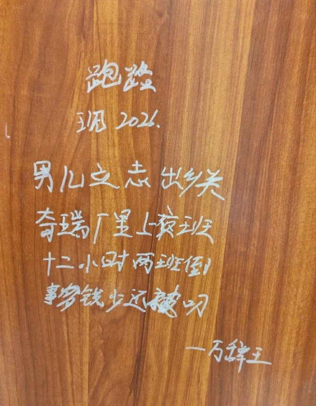 近日，​有网友拍到，国内一线头部车企奇瑞某基地的厕所门上，密密麻麻写满了基层工人心声