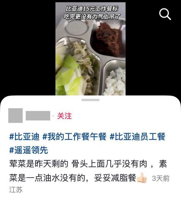 博主吐槽比亚迪“15元餐标”工作餐