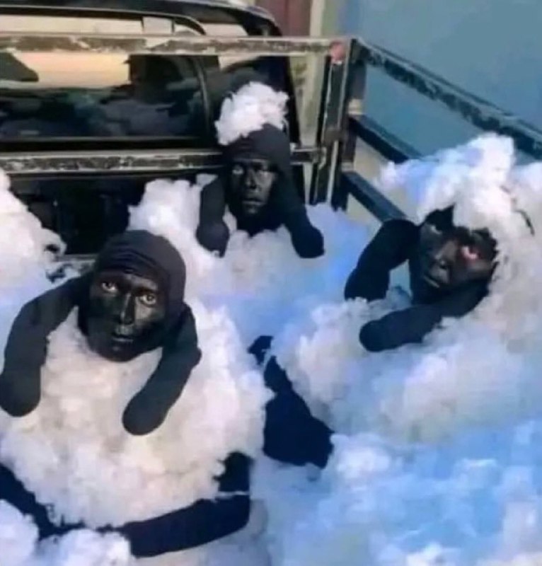 作家崔成浩