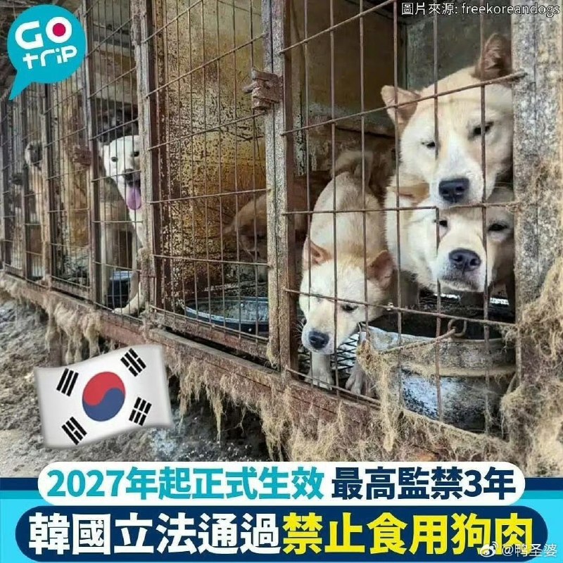 王局拍案