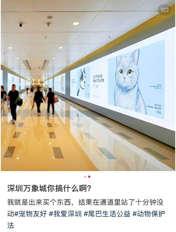 网友投稿