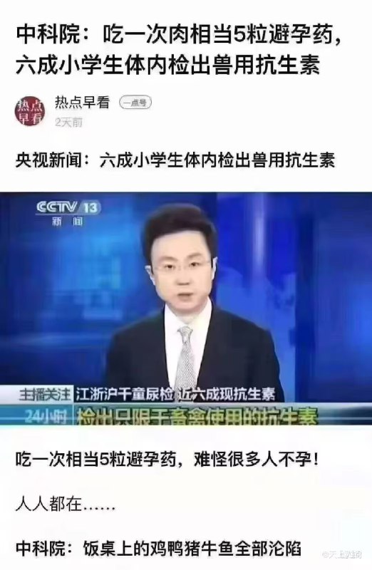新闻焦点追踪（主编