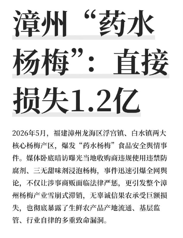 杨梅泡药事件真相【记者卧底发现“药水杨梅”
