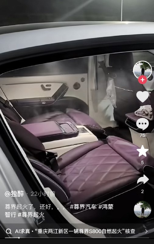 ziyousuiwo（随时更新中国新闻评论） (Twitter)华为的车又起火了近日，重庆，一辆华为尊届s800起火燃烧