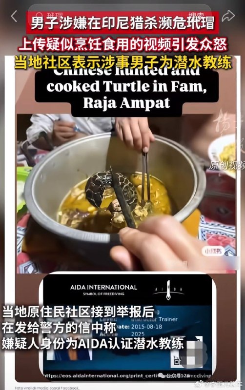 1.9月12日左右，网传中国籍自由潜水教练魏尚（Wei Shang）在印尼四王群岛皮亚内莫海域海洋保育区，用鱼枪射杀极危物种玳瑁并烹食，视频引发全网愤怒