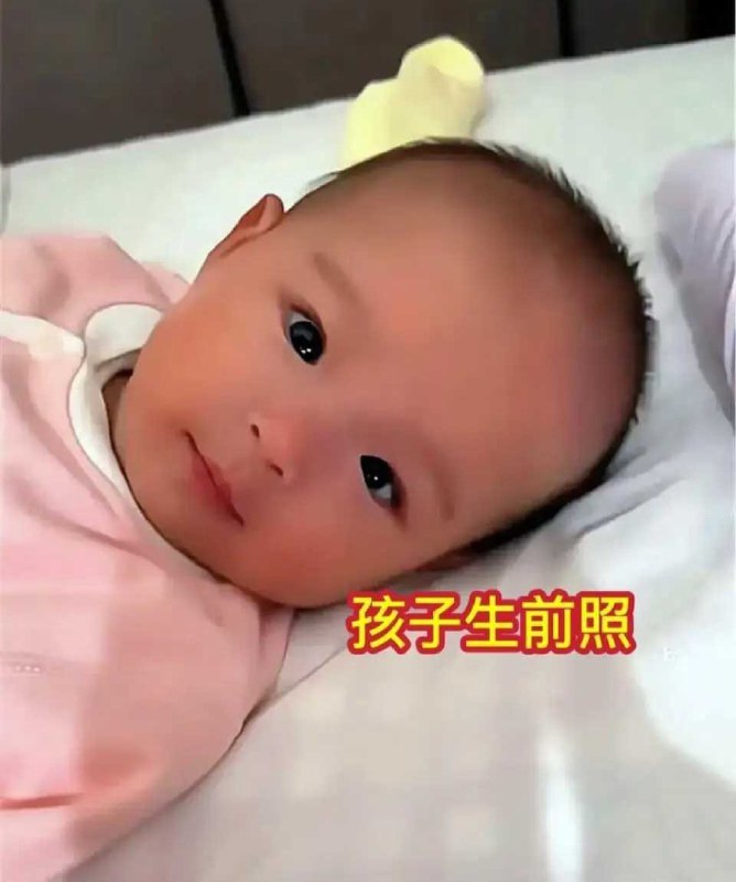 魔都老猿