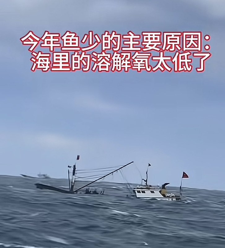 作家崔成浩