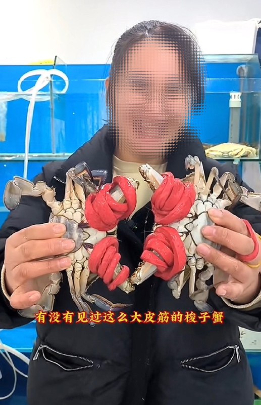作家崔成浩