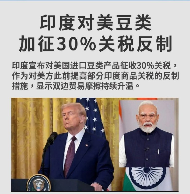 新闻焦点追踪（主编