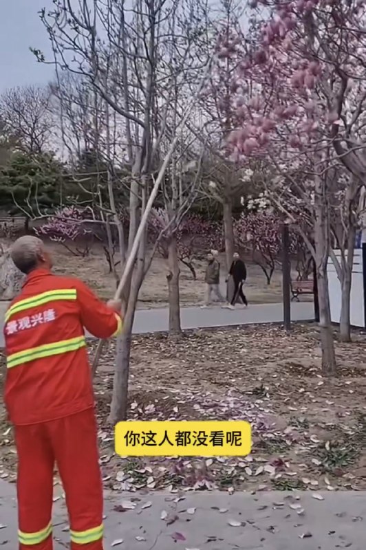 作家崔成浩