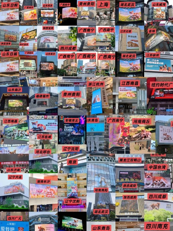1.【揭阳虐狗事件20多天后，“旺旺风暴”从中国蔓延美日】揭阳虐狗事件发生20多天后，截至7月19日，由此引发的“旺旺风暴”已扩散至中国所有省份和直辖市