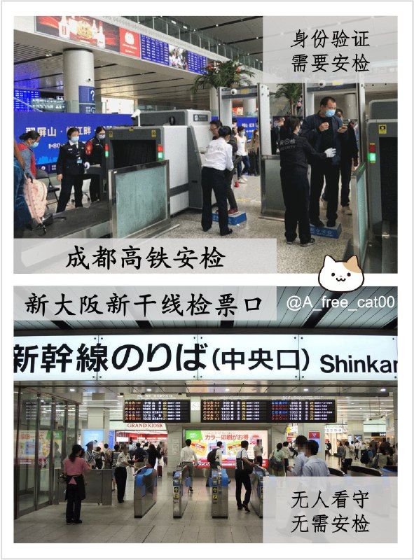 曼曼