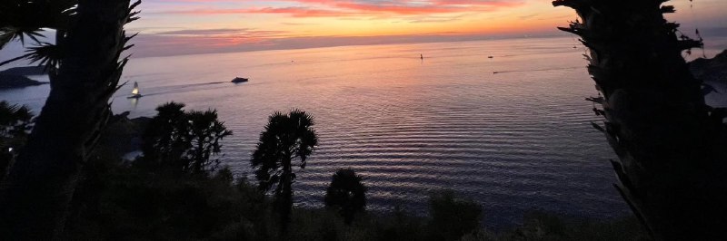 Sinda (@Sinda1118) on X