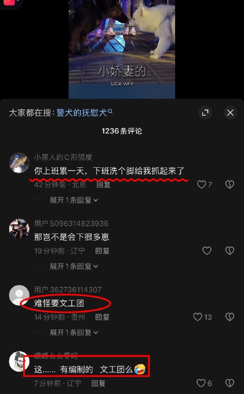 作家崔成浩
