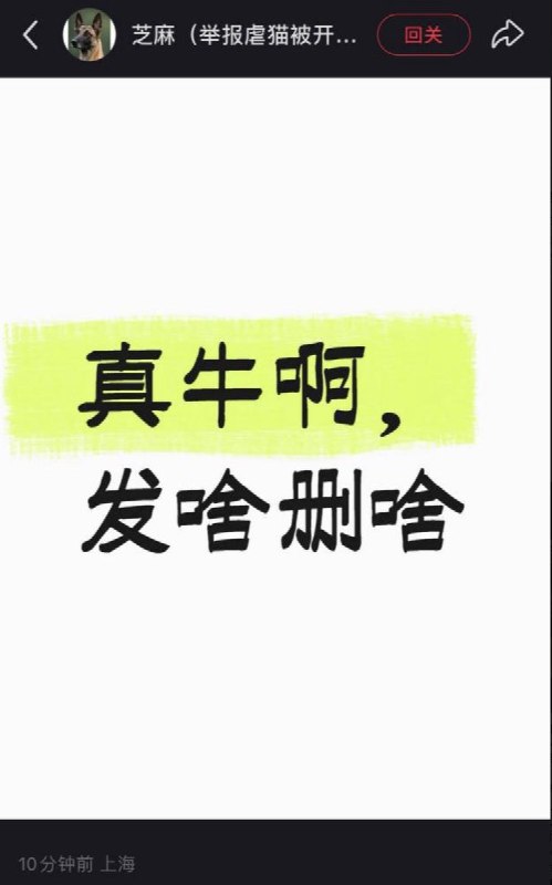6月4日，上海徐汇的动物志愿者“芝麻”公开要求彻查公安内部非法“开盒”的内鬼