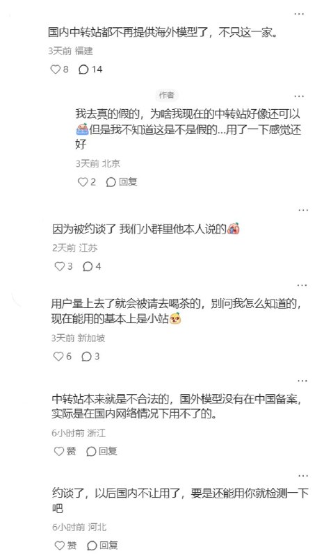“海外AI中转站大清查
