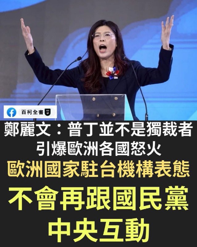 国民党新任主席郑丽文说