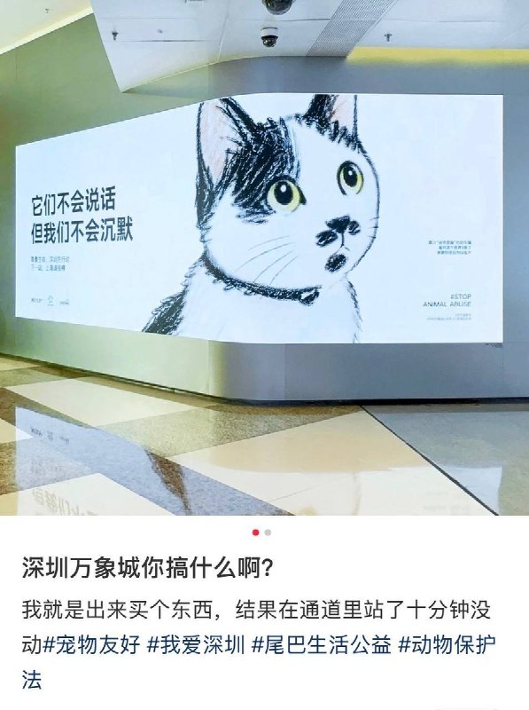 网友投稿