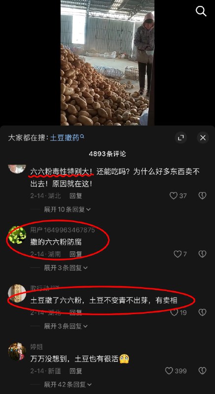 作家崔成浩