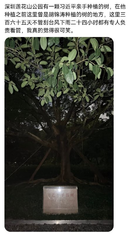 王局拍案