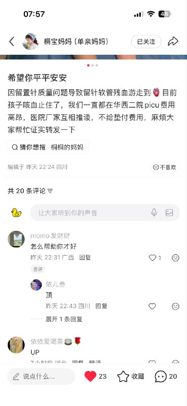 大脸猫·橘白