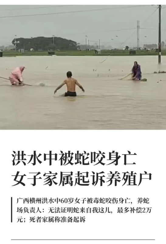 王局拍案