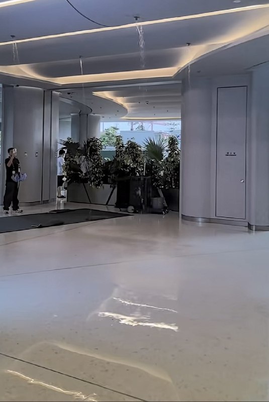 低等生物