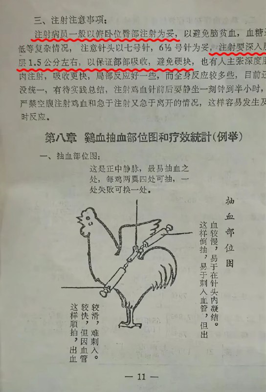 当年红卫兵发现，打鸡血可以精神焕发、食欲大增、改善睡眠、治疗癌症……此疗法获得了周恩来的支持……当年红卫兵发现，打鸡血可以精神焕发、食欲大增、改善睡眠、治疗癌症……此疗法获得了周恩来的支持……